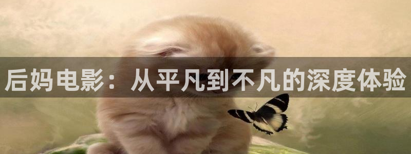 樱花视频精品在线
