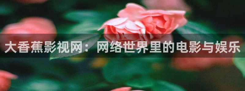 樱花视频素材下载