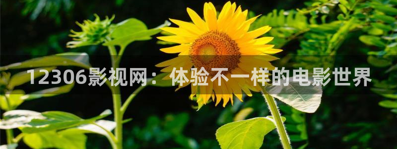 樱花视频下载入口