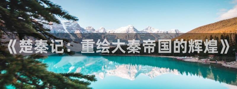 樱花视频专注