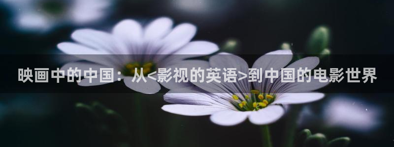 樱花视频在线观看电视剧高清