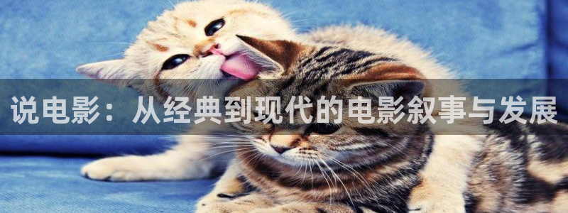 樱花视频免费观看电视