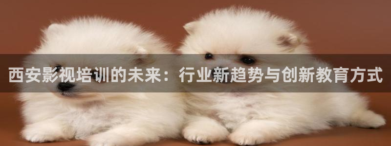 樱花视频官网