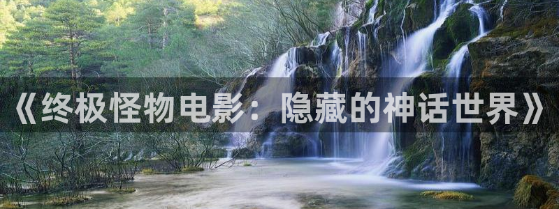 ,樱花视频