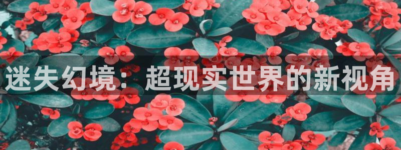 艳母动漫樱花视频