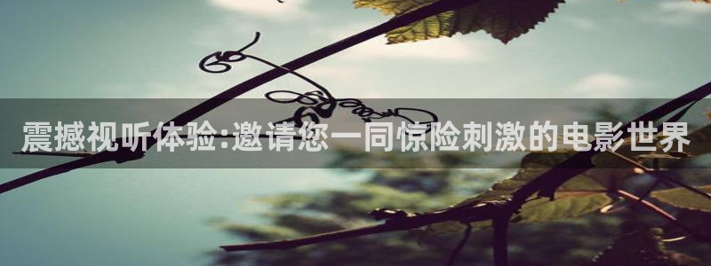 樱花影院动漫