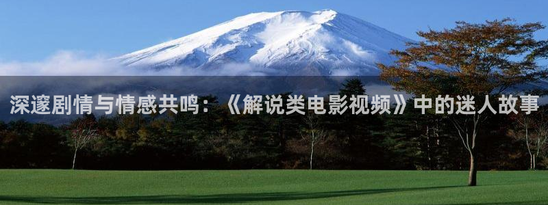 樱花视频全集
