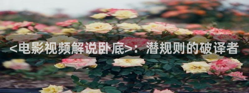 樱花影院最新电视剧