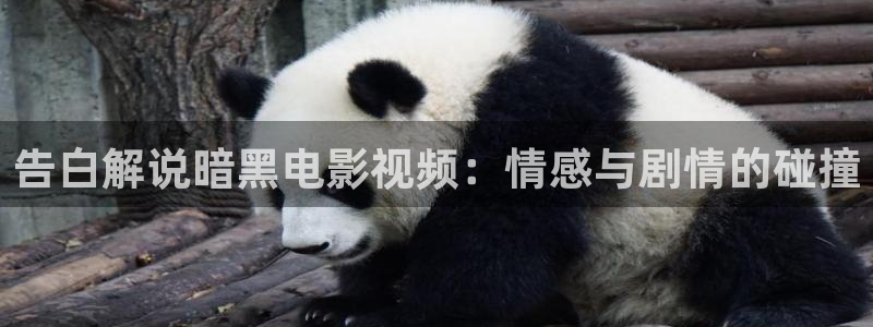 樱花视频樱花